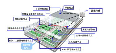 物联网技术研发驱动下的智慧农业应用与实践